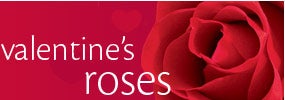 Valentine's Roses