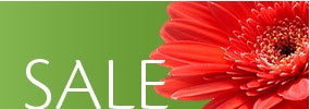 On Sale