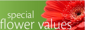 Special Flower Values