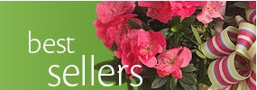 Best Sellers
