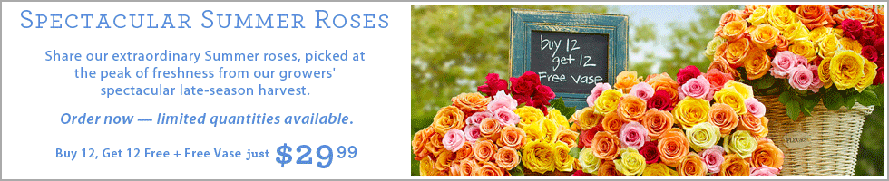 Spectacular Summer Roses