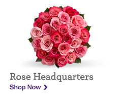 Rose Headquarters