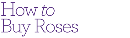 How to Buy Roses