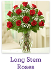 Long Stem Roses