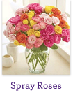 Spray Roses