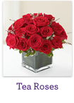 Tea Roses