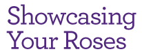Showcasing your Roses