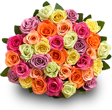 Three Dozen Roses