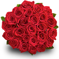 Two Dozen Roses