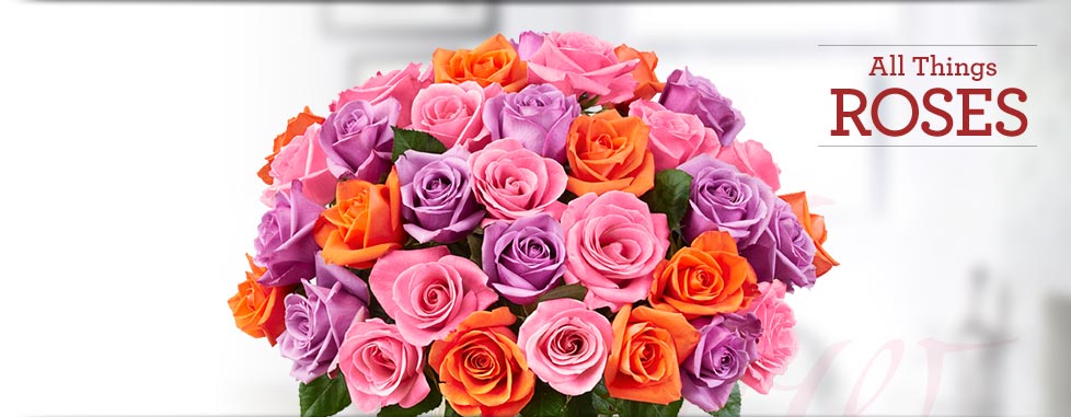 Shop All Roses