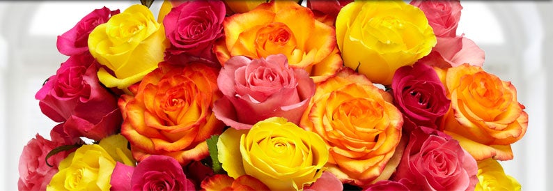 Valentine's Rose Headquarters - Best Sellers