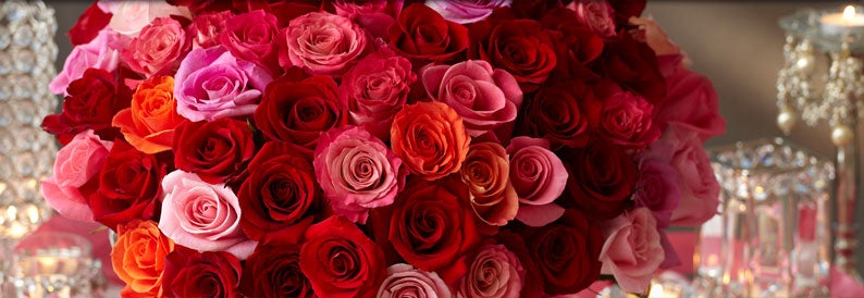 Valentine's Rose Headquarters - Wow