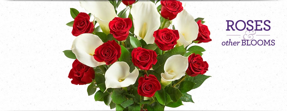 Roses and Other Blooms