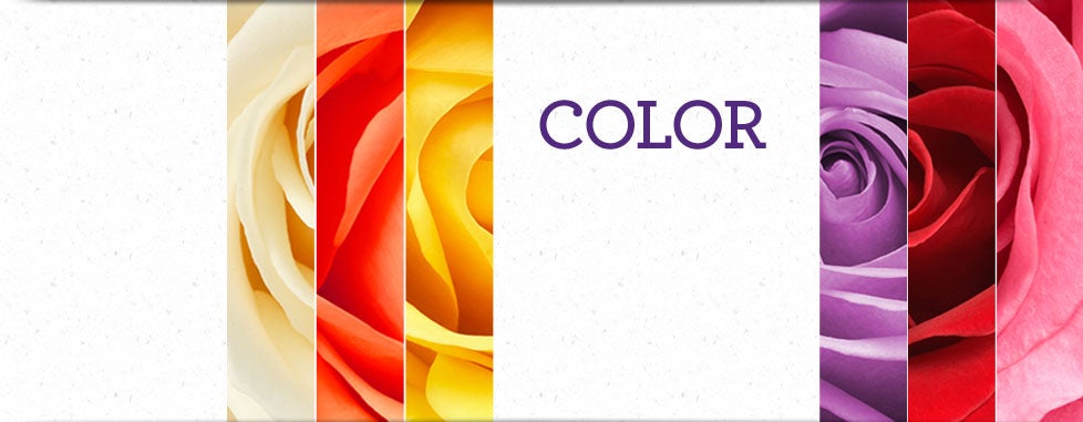 Shop by Color