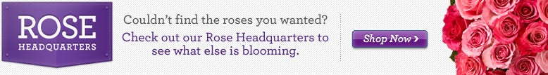 Shop our Rose Headquarters