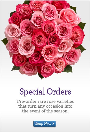 Special Orders