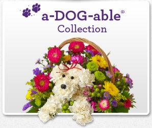 /A-dog-able Boutique