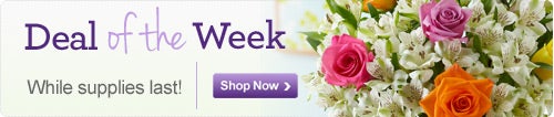 Deal of the Week