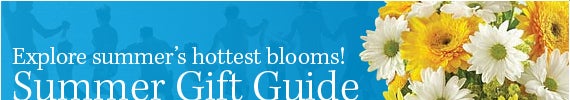 summer gift guide