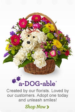 a-Dog-able