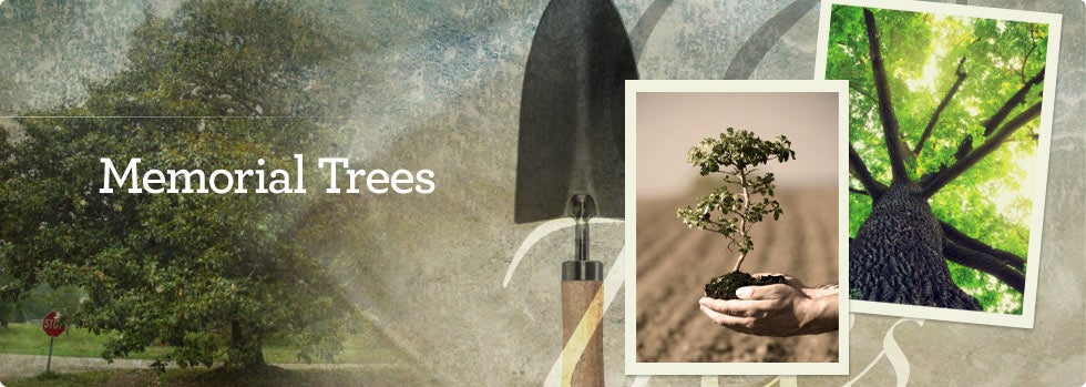 Memorial Trees