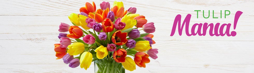 Tulip Mania Tulip Mania