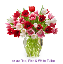 Tulips
