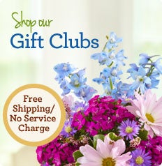 Gift Clubs