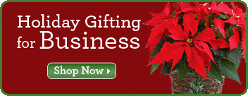 Holiday Gifting for Business