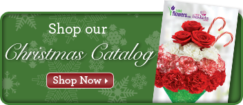 Holiday Catalog