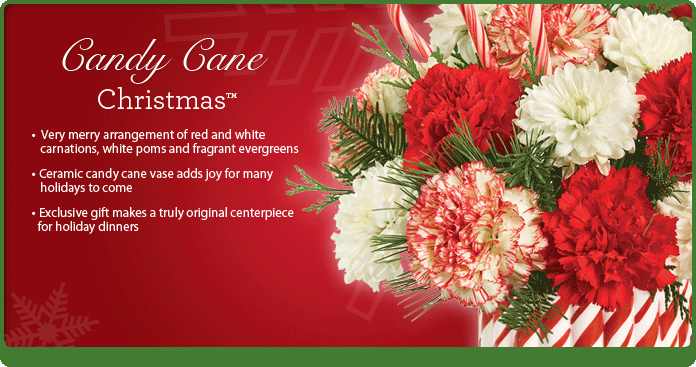Candy Cane Christmas