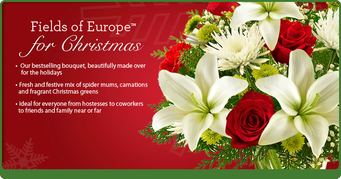 Fields of Europe for Christmas
