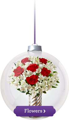 Christams Flowers