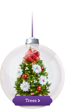 Christmas Trees